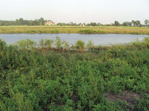 Property photo 2 - 114+/- Acres Offered in 4 Tracts